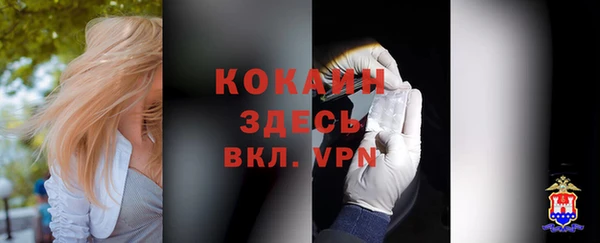 синтетический гашиш Богородицк